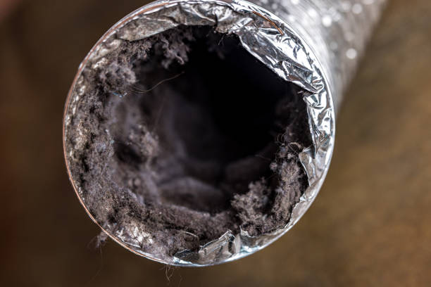 Best Home Air Vent Cleaning  in Carrollton, VA