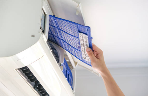 Best Air Duct Mold Removal  in Carrollton, VA